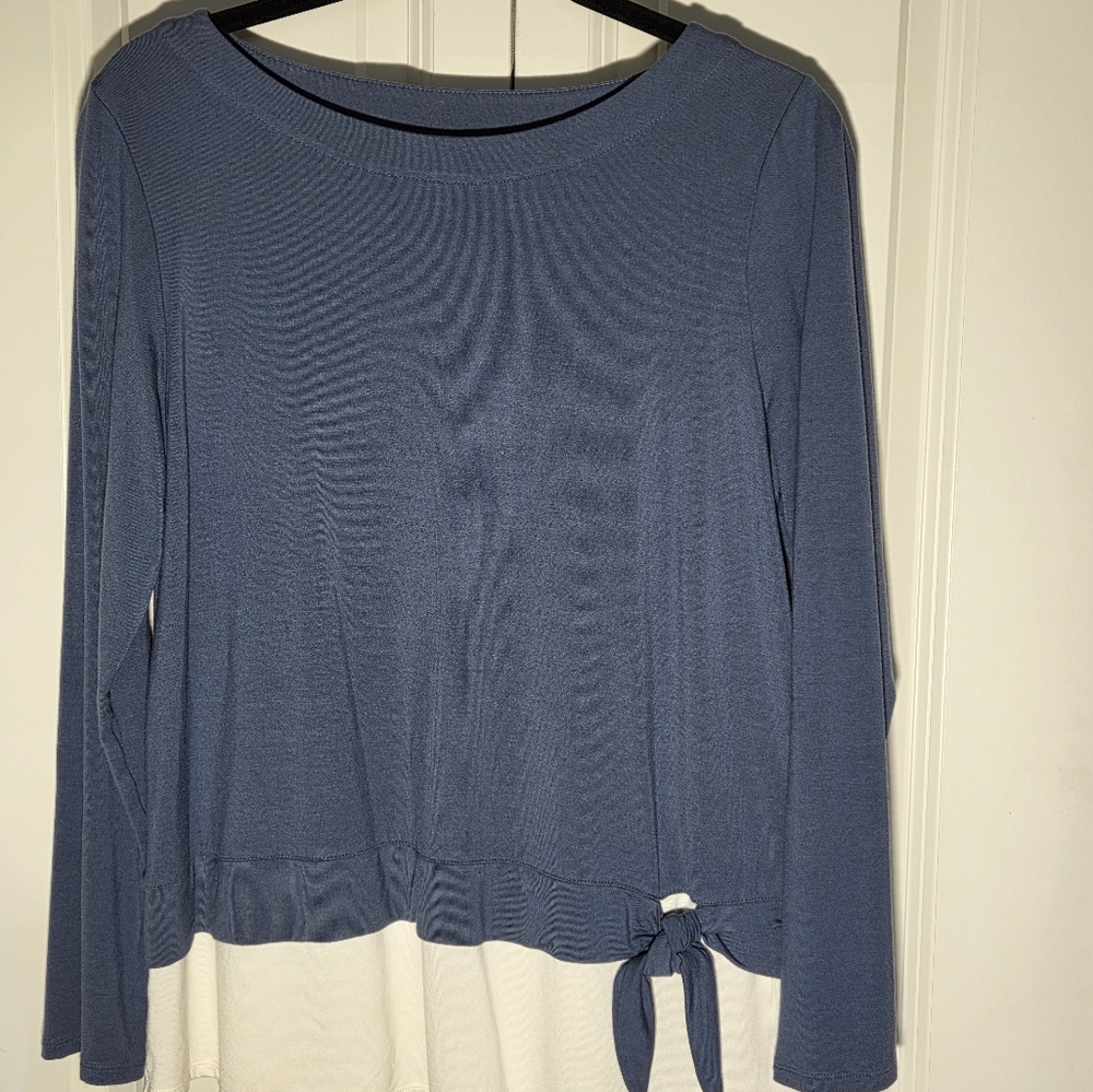 J. Jill Blue and Cream Long Sleeve Blouse